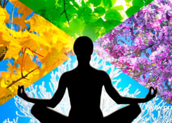 Mindfulness Based CBT