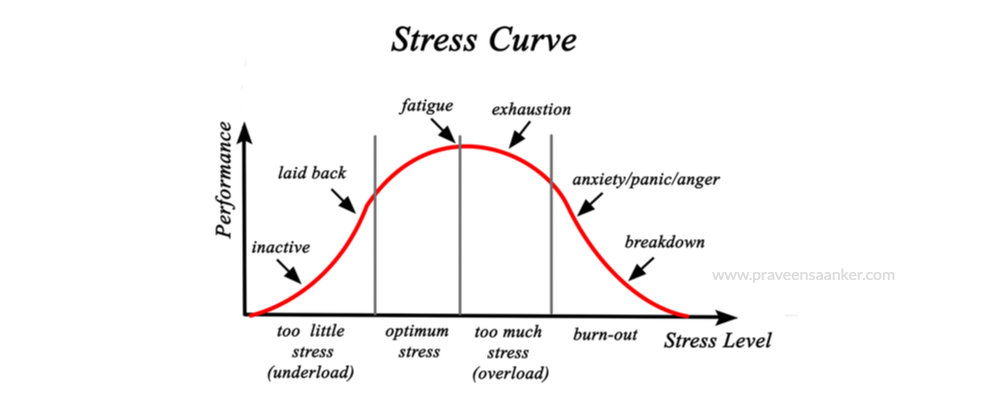 Stress Counselling - Why is Stress Management Important?